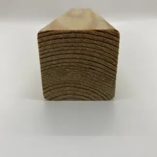 Siberian Larch Square 45x45mm Sample