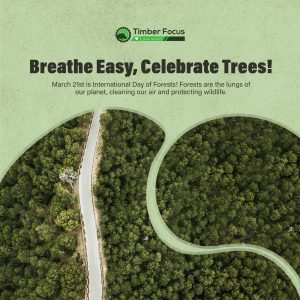 International Day of Forests Blog Post Cover Image