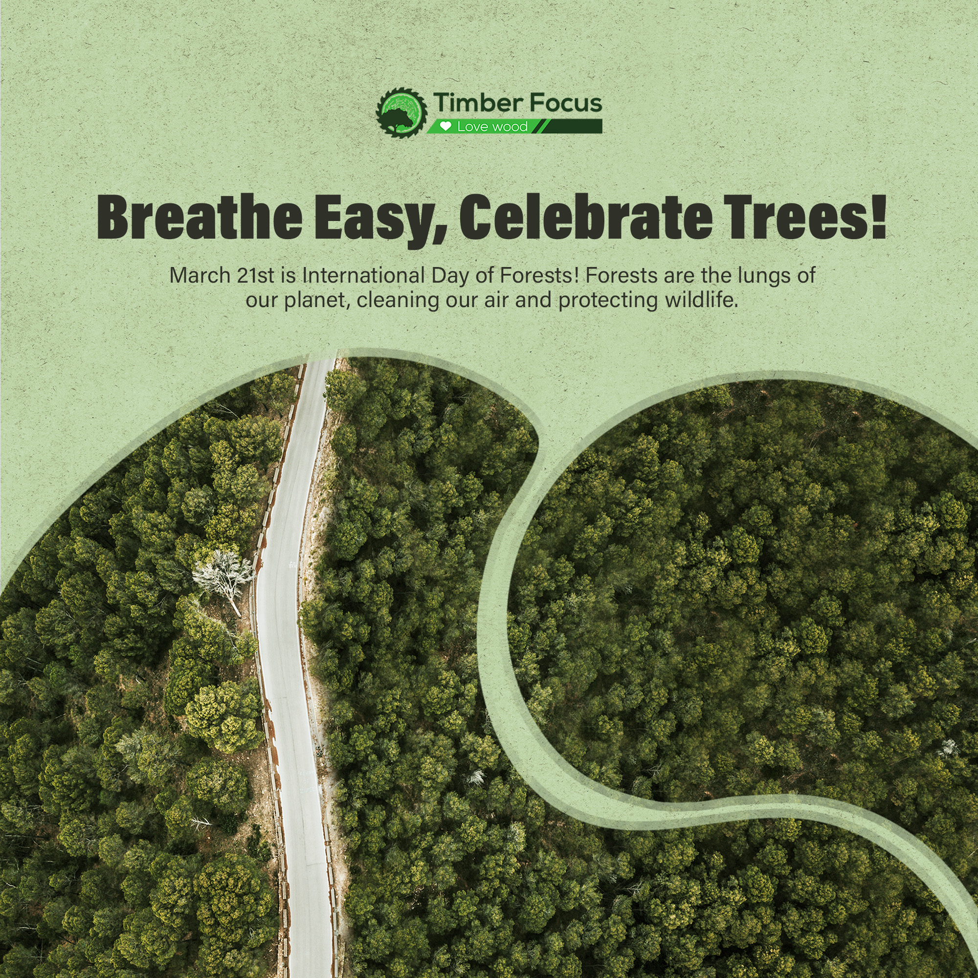 Commitment to Sustainability on International Day of Forests